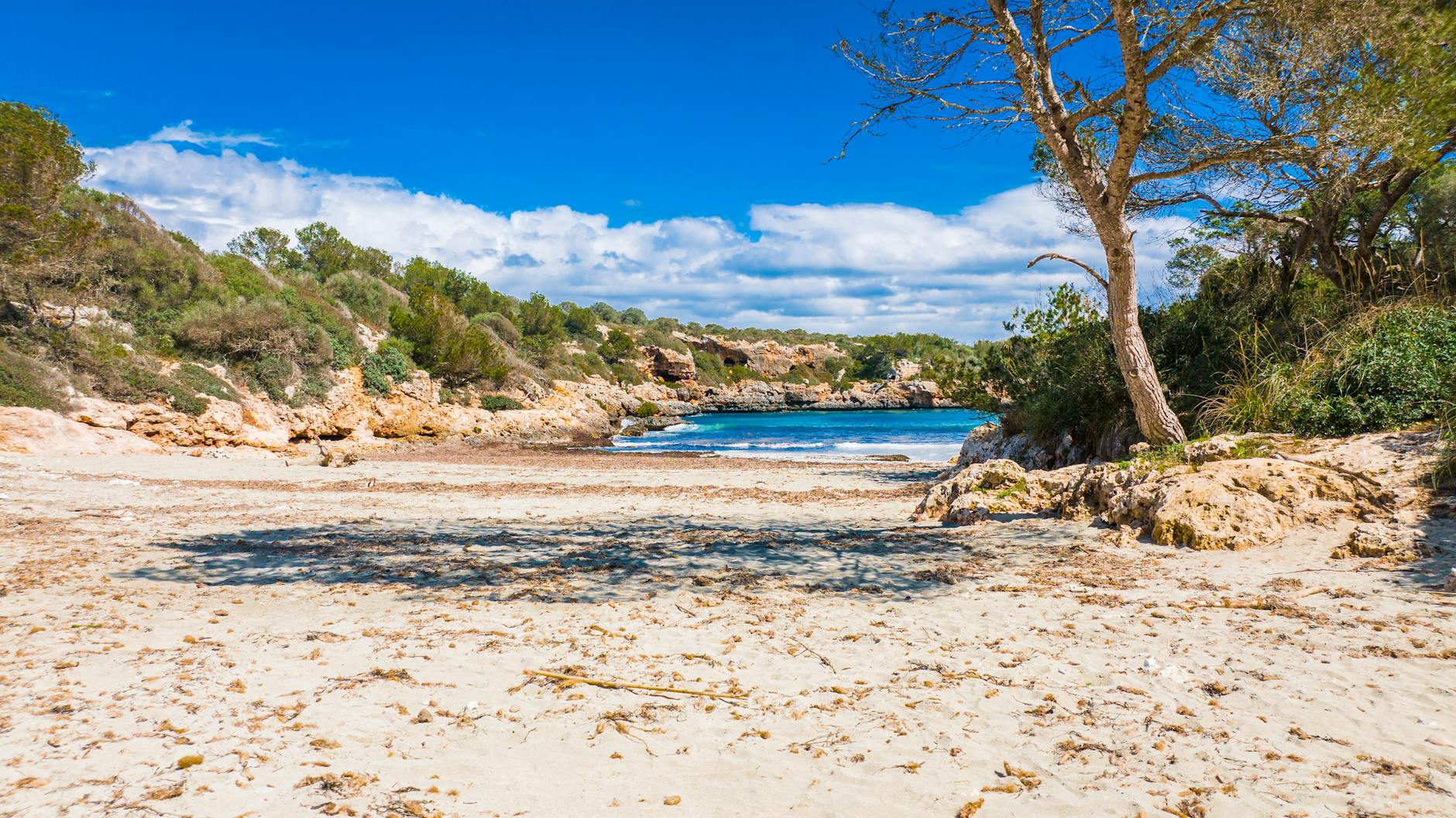 Cala soleada con aguas cristalinas y acantilados rocosos en Mallorca